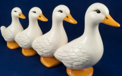You Have Your Ducks in a Row for the Employer Mandate?