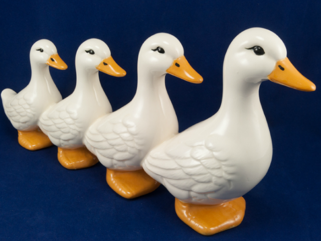 You Have Your Ducks in a Row for the Employer Mandate?